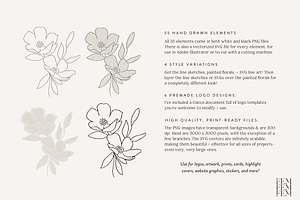 Hand Drawn Botanical Logo & Branding