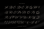 Hamedory Dumbless Modern Calligraphy, a Script Font by Denustudios (Thumbnail 10 of 12)