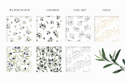 Olive branch, frame, pattern., a Texture Illustration by Kotkoa (Thumbnail 4 of 6)