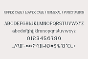 Holiday Flakes - Christmas Font, a Serif Font by Viswal Studio (Thumbnail 5 of 6)
