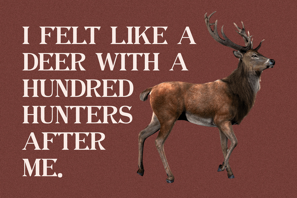Maron Elegant Serif Font, a Serif Font by Perfectype (Photo 2 of 10)