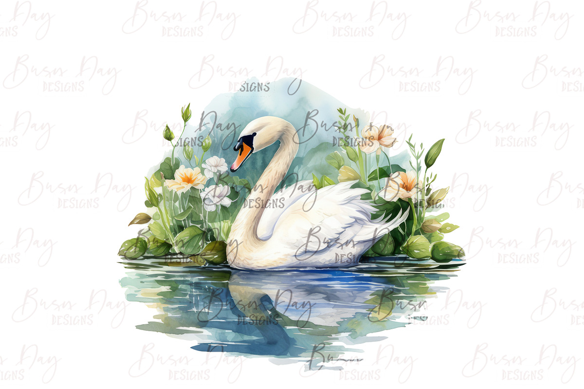 Watercolor Swan Clipart Bundle, an Animal Illustration by BusyDaydesign