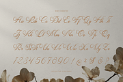 Mamylinus | Beautiful Calligraphy, a Serif Font by Denustudios (Thumbnail 10 of 12)