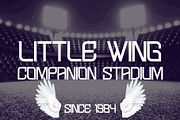 Picazo Display - Sporty Display Font, a Sans Serif Font by fluffstudio (Thumbnail 7 of 9)