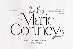 Marie Cortney, a Serif Font by Stripes Studio