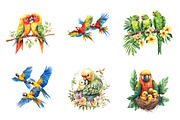 Watercolor Tropical Parrot Family, an Illustration by CreationArt (Thumbnail 4 of 5)