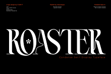 ROASTER - Absonstype