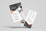 Capability Statement | Word & Indd, a Flyer Template by Leaflove (Thumbnail 2 of 5)