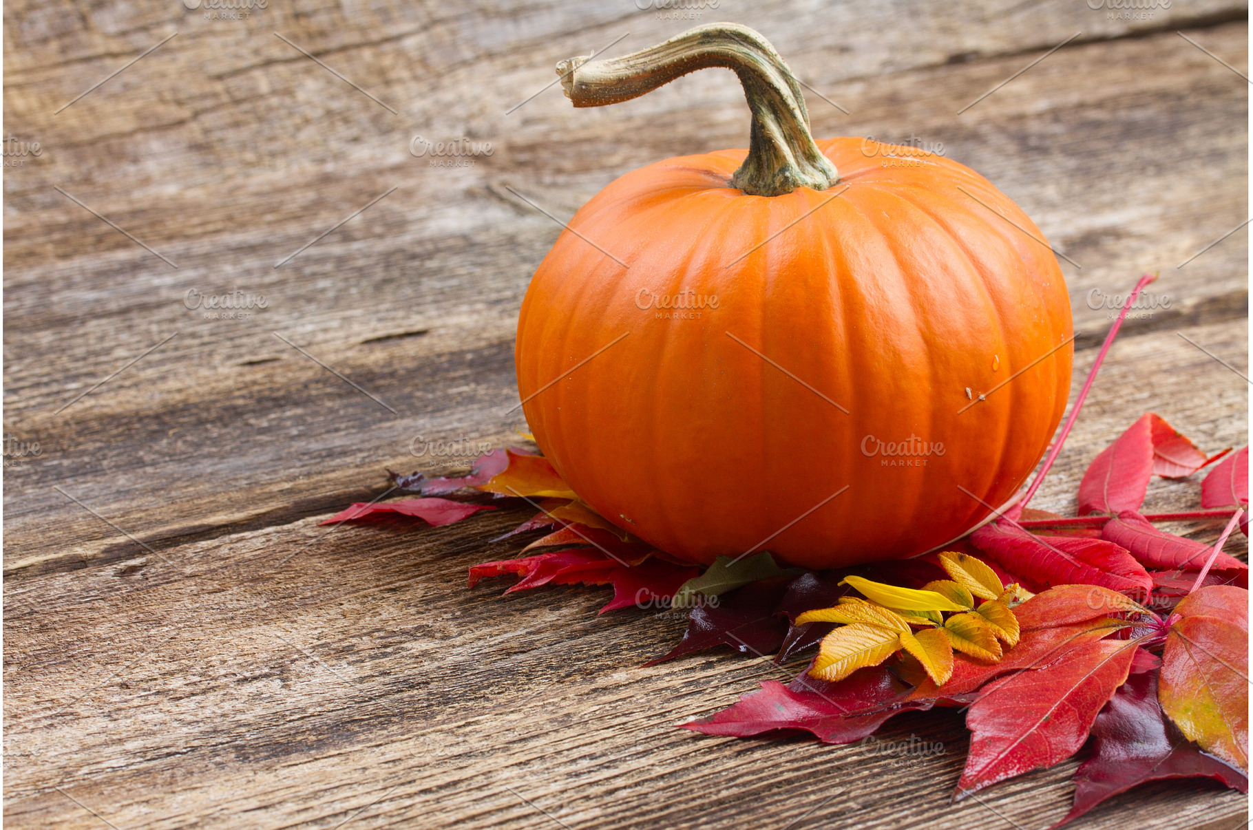 pumpkin on table, a Food & Drink Photo by Neirfy