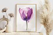 Watercolor Translucent Tulip Vector, a Pattern Graphic by Deckar_art (Thumbnail 3 of 5)