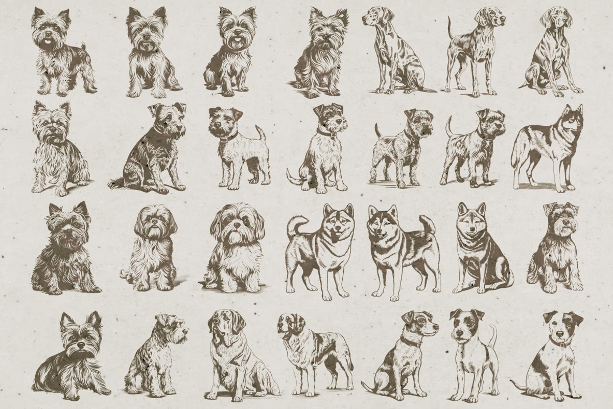 215 Dog Illustrations, an Animal Illustration by Nocturnal Wolf (Photo 5 of 14)