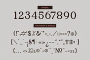 Palenk Radney | Modern Retro Serif, a Serif Font by Denustudios (Thumbnail 9 of 13)