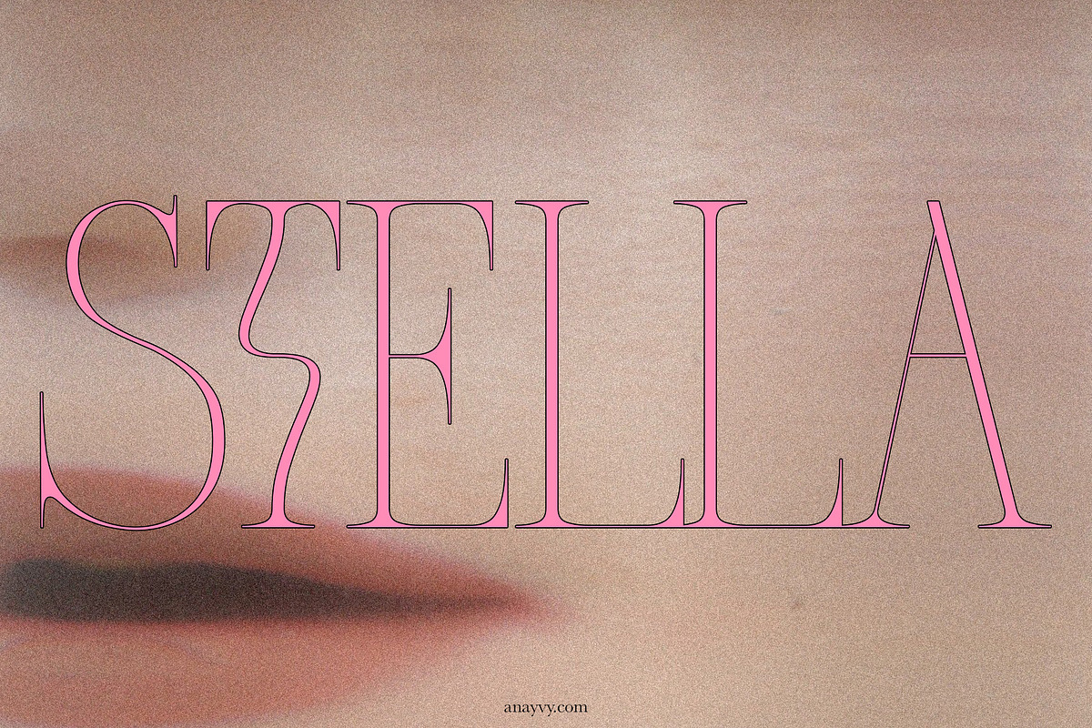 CYTRONI Modern Mix Font Duo, a Serif Font by ana & yvy (Photo 4 of 34)