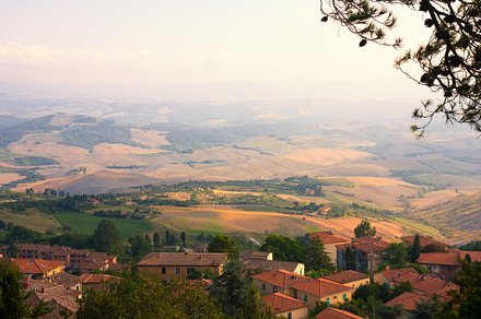 Fields in Tuscany