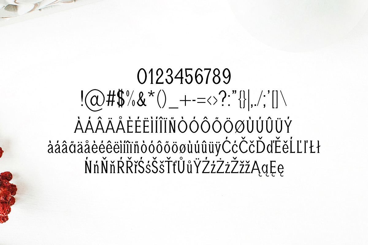 Adney Slab Serif Font Family preview 4