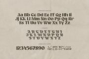 Camera Obscura - Classy Type, a Serif Font by ikiiko (Thumbnail 6 of 7)
