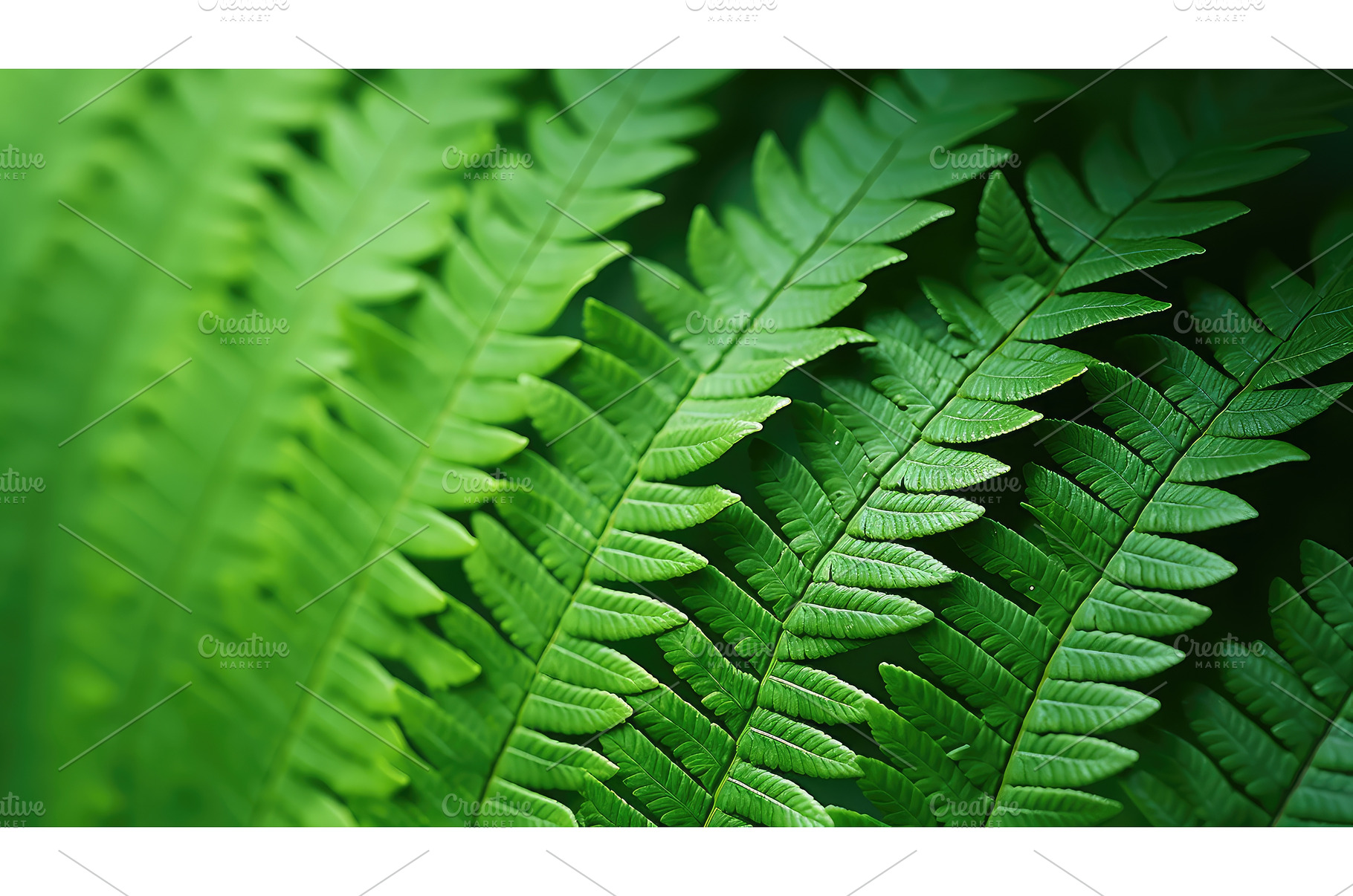 nature natural macro background fine, a Nature Photo by pikepicture