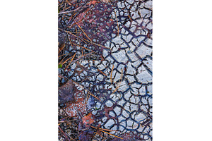Cracked Earth. An arid landscape