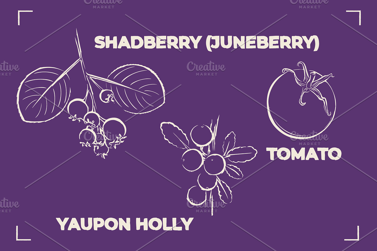 BERRY LINE ART SET (20 elements), a Food Illustration by Bonfloret Studio (Photo 5 of 9)