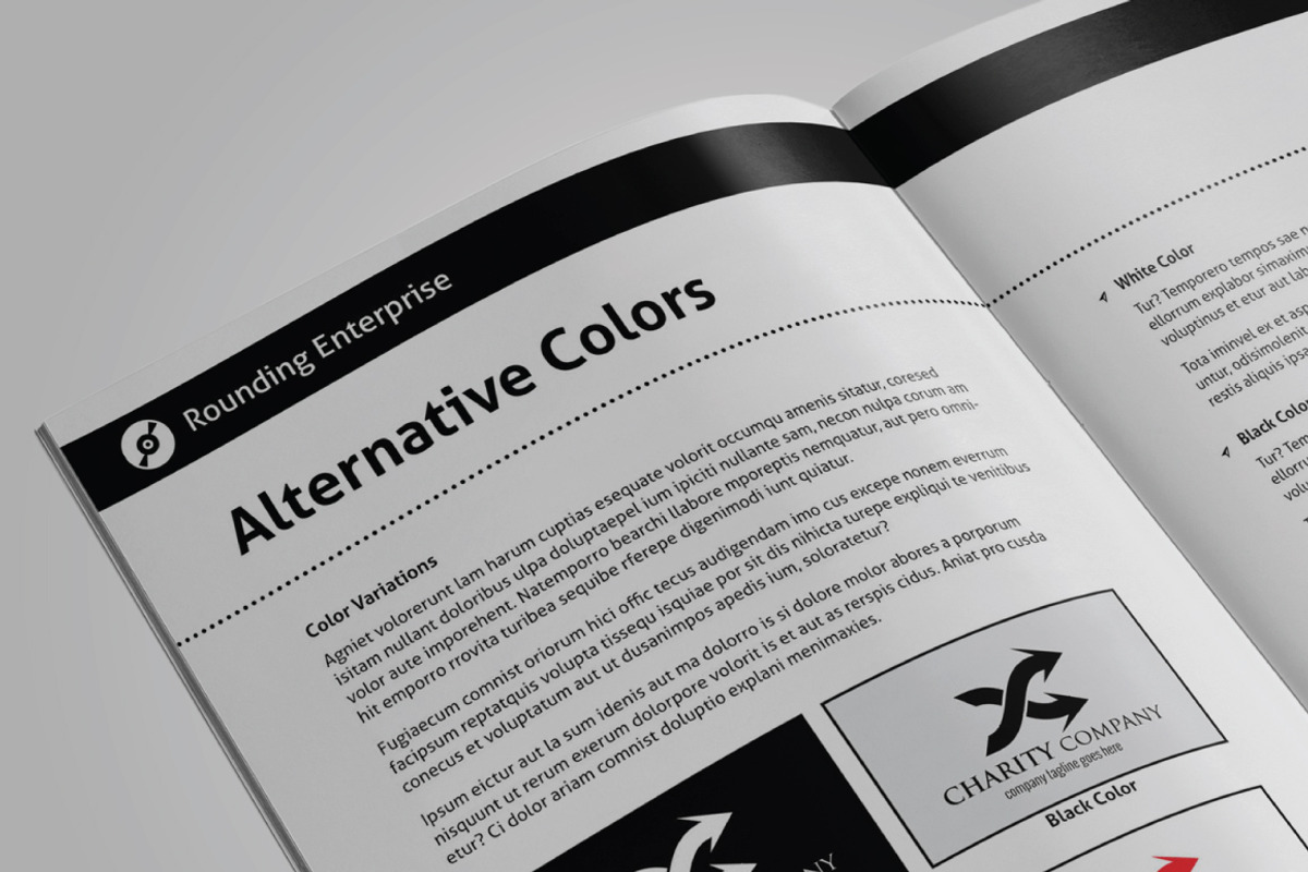 Universal Brand Manual, a Brochure Template by voryu (Photo 5 of 6)