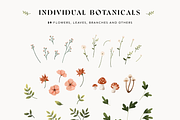 Woodland Animals: colored & outline, an Animal Illustration by imajineko (Thumbnail 7 of 10)