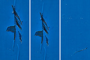 Blue rusted metal textures, a Texture Graphic by The Shop (Thumbnail 6 of 30)