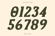 CS Sherin Drawn, a Serif Font by Craft Supply Co. (Thumbnail 3 of 8)