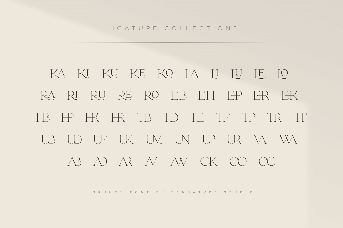 Bruney - Classy Ligature Font, a Serif Font by Sensatype (Photo 6 of 19)