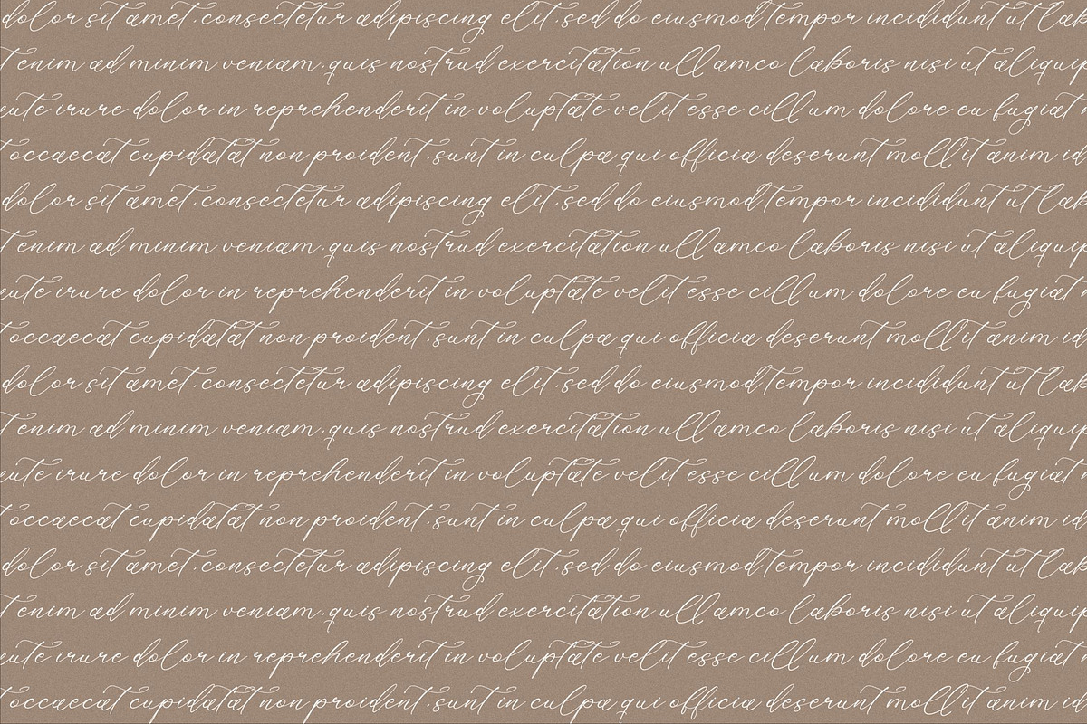 Holicakes Serfinah Beauty Script, a Script Font by Storytype Studio (Photo 3 of 15)