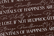 Floral Paradise Font Duo, a Serif Font by Storytype Studio (Thumbnail 10 of 15)