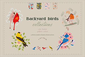 Backyard birds collections