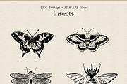 Flowers & Insects | Black Ink Art, an Illustration by amber&ink (Thumbnail 4 of 12)