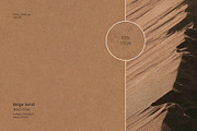Craft Textures Cardboard Papers, a Texture Graphic by ilonitta (Thumbnail 4 of 12)