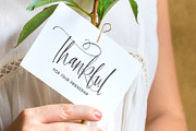 Cottonwood Market Typeface, a Script Font by Callie Rian & Co. (Thumbnail 2 of 18)