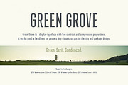 Green Grove // 3 fonts, a Serif Font by True Story Letterworks (Thumbnail 2 of 12)
