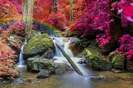Waterfall in deep rain forest stock photo containing waterfall and forest, a Nature Photo by Casanowe-studio
