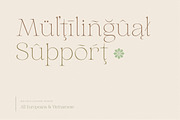Aurelius - Feminine Chic Serif, a Serif Font by Harmonais Visual (Thumbnail 29 of 35)