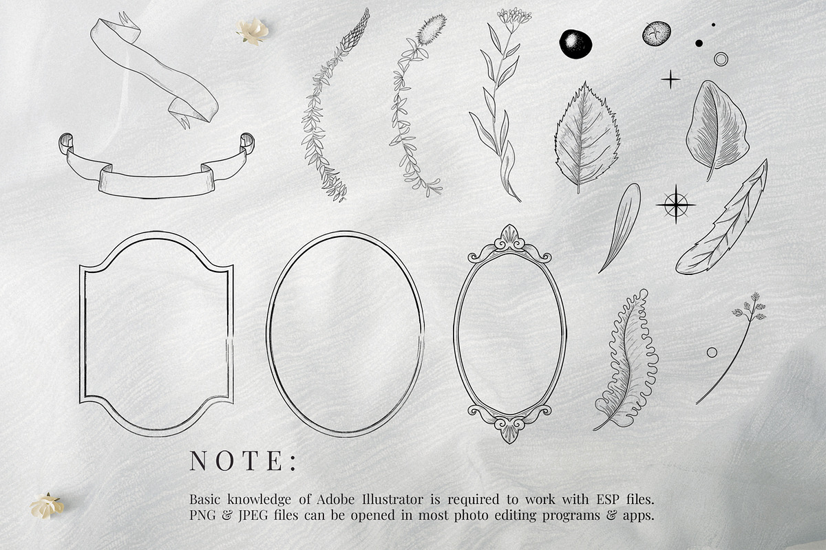 Hand Drawn Vector Vintage Mushrooms, a Decorative Illustration by foxsong (Photo 10 of 12)