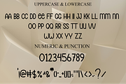 Vintage, a Script Font by InermediaSTUDIO (Thumbnail 7 of 8)