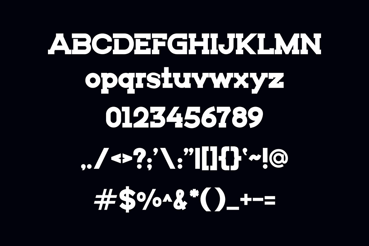 Tomony, a Serif Font by lelevien (Photo 3 of 4)