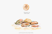 Watercolor tropical clipart set, a Decorative Illustration by Patishop Art (Thumbnail 7 of 10)