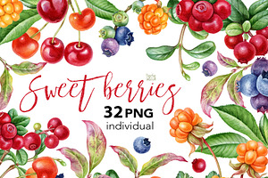 Watercolor berries clip art.