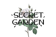 Thorn Font, a Font by Mymlan Shop (Thumbnail 5 of 9)