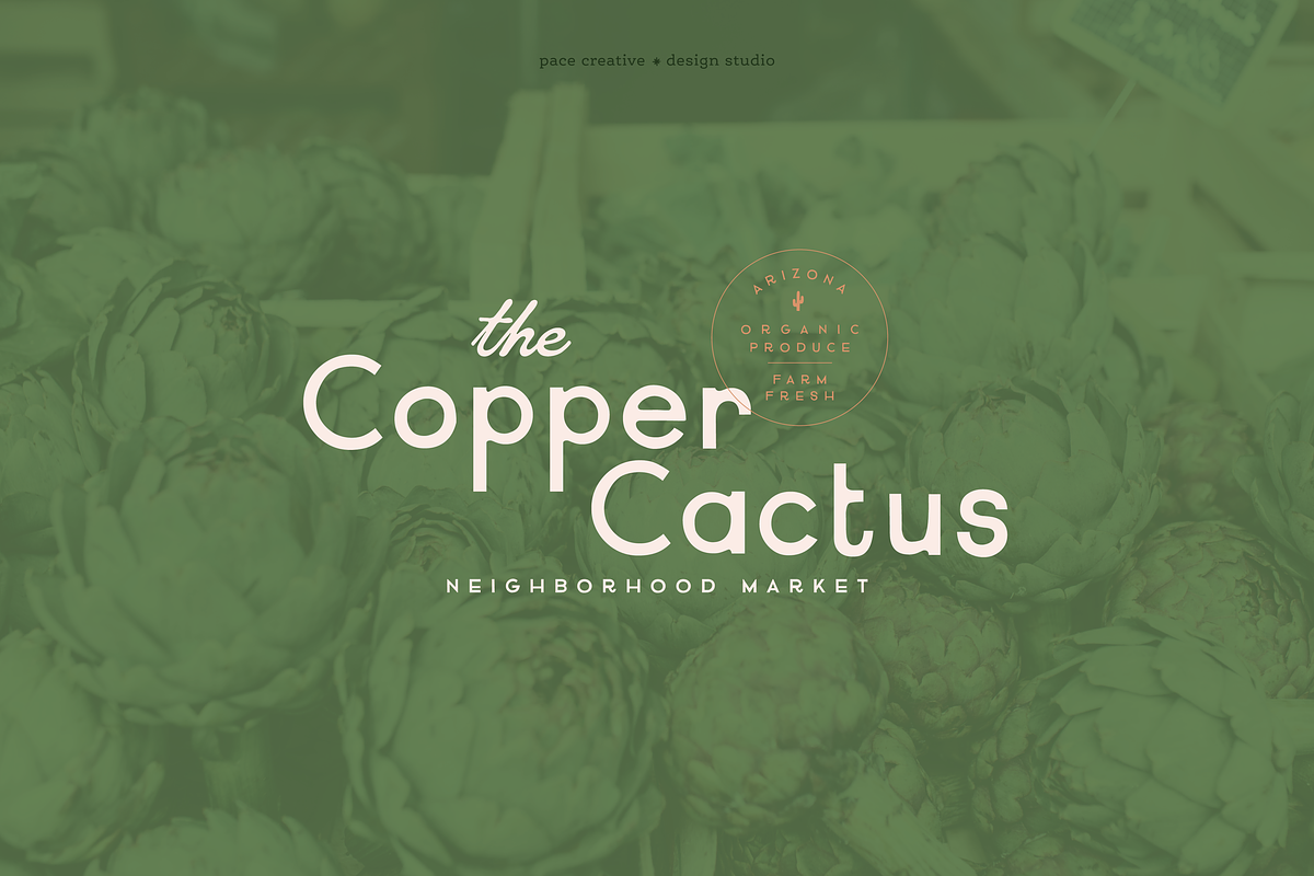 Curious Z: A Hand-Drawn Font, a Handwritten Font by Pace Creative Design (Photo 6 of 10)