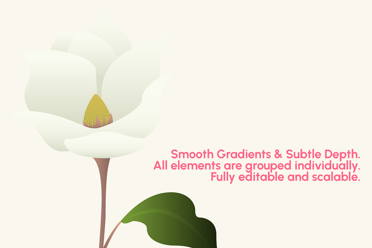 Vibrant Spring Flowers Toolkit, a Seasonal Illustration by Luis Batlle (Photo 4 of 5)