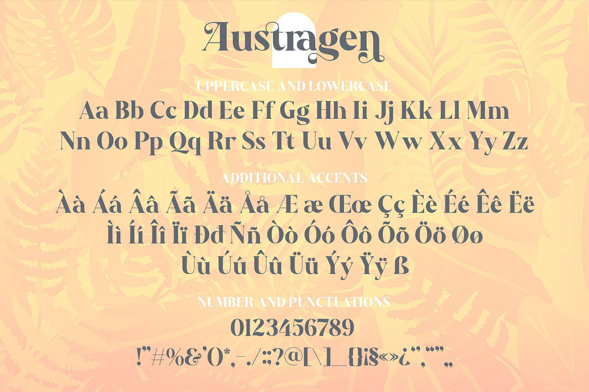 Austragen - Beautiful Bold Serif, a Serif Font by Almarkhatype (Photo 8 of 10)