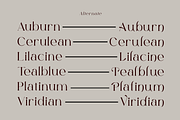 Grace Zyora - Luxury Modern Font, a Serif Font by roomspace creative lab (Thumbnail 12 of 13)