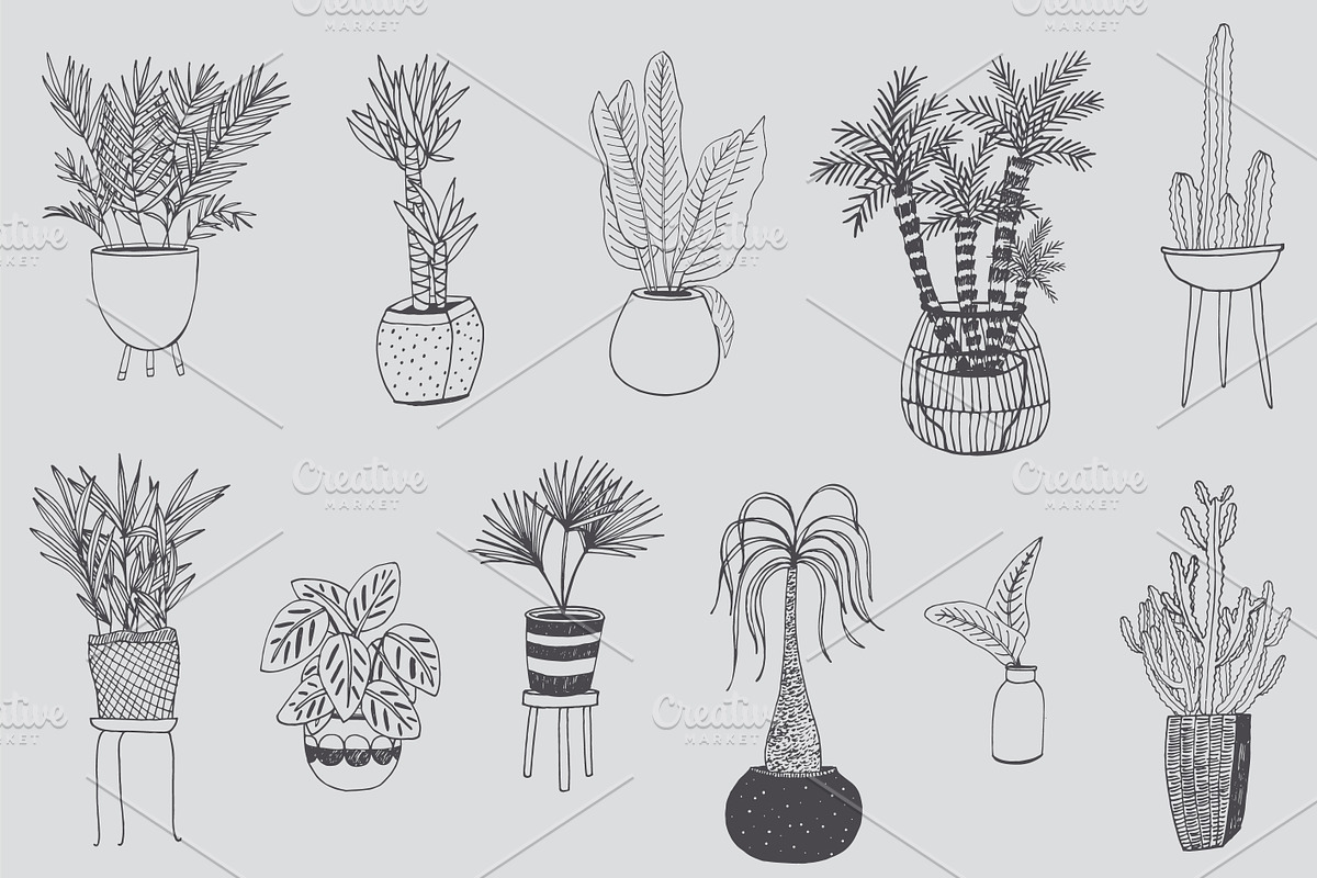Interior Home Plants, a Pattern Graphic by GooseFrol (Photo 3 of 7)
