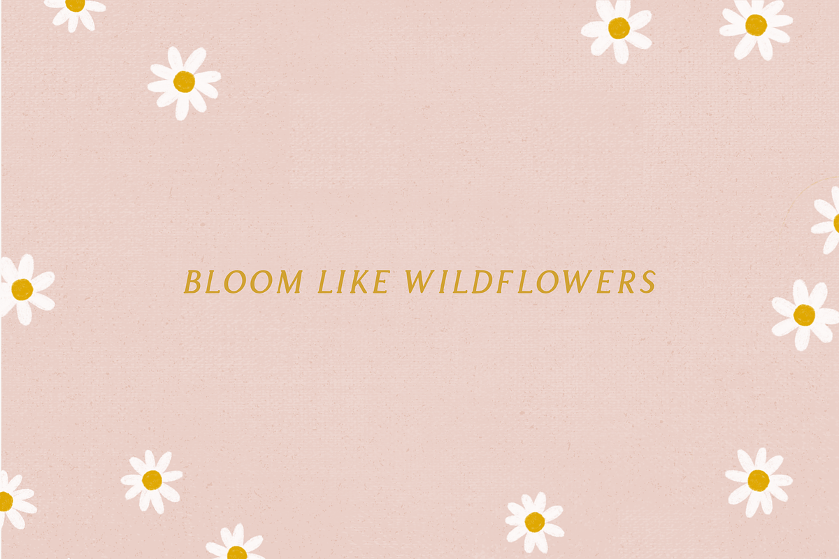 Apricot - Handlettered Serif Font preview 7