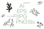 INKED SEALIFE hand drawn vector set, an Animal Illustration by Lena Nikolaeva (Thumbnail 8 of 11)